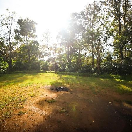 Nelliyampathy Misty Valley Hill Resorts المظهر الخارجي الصورة