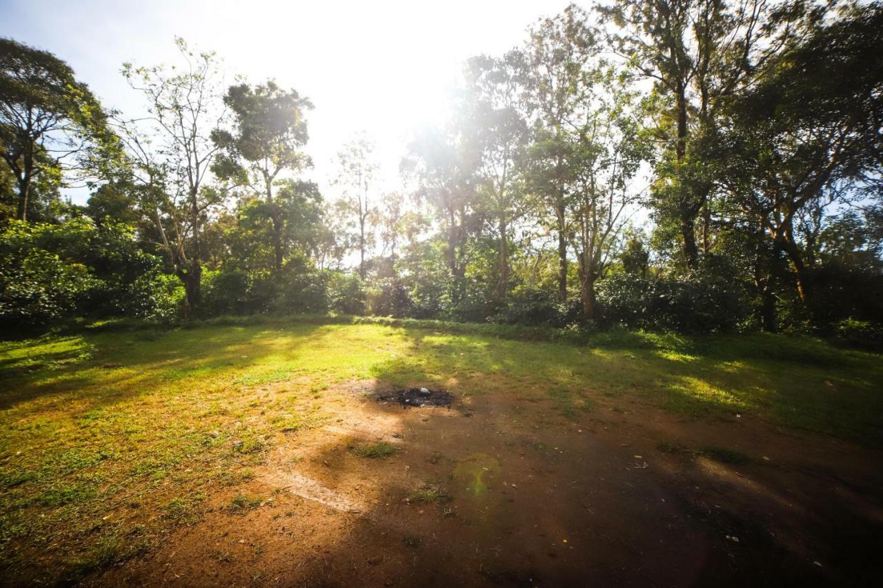 Nelliyampathy Misty Valley Hill Resorts المظهر الخارجي الصورة